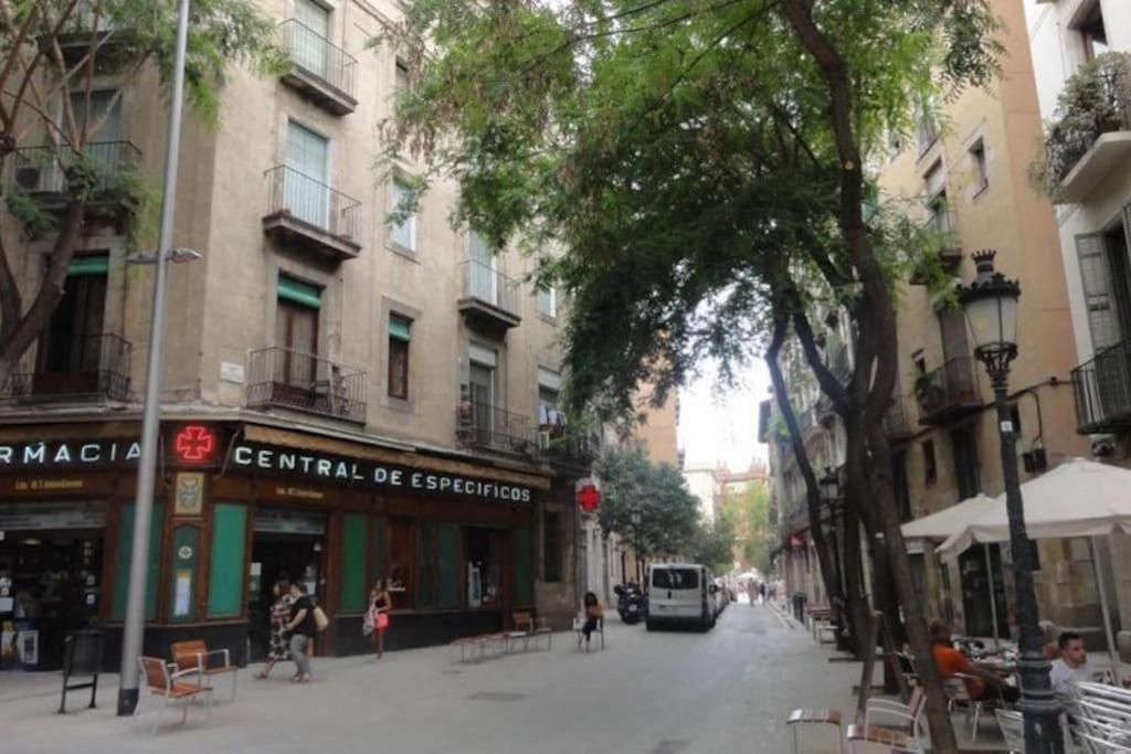 El Born - Spacious 2 Bedrooms Barcelona Ngoại thất bức ảnh